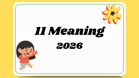 11 Meaning