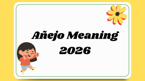 Añejo Meaning