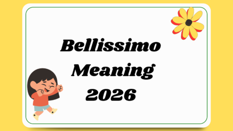 Bellissimo Meaning