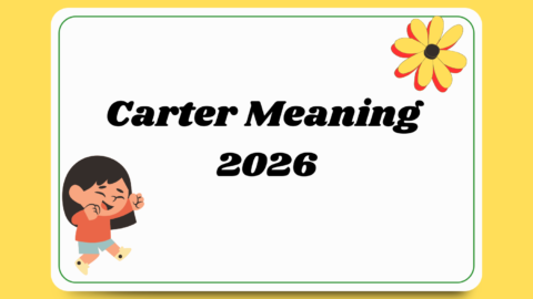 Carter Meaning