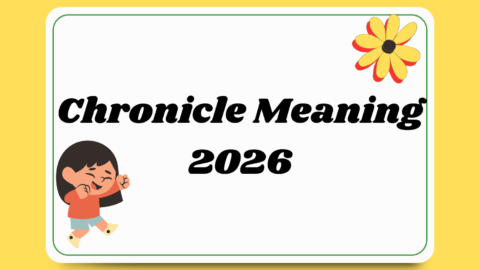 Chronicle Meaning
