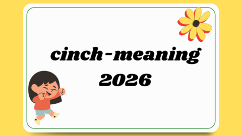 cinch meaning