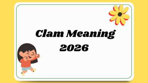 Clam Meaning