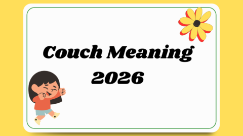 Couch Meaning