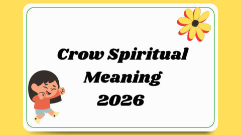 Crow Spiritual Meaning