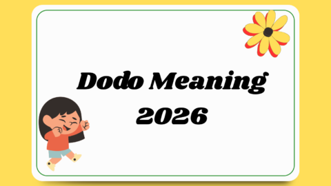 Dodo Meaning