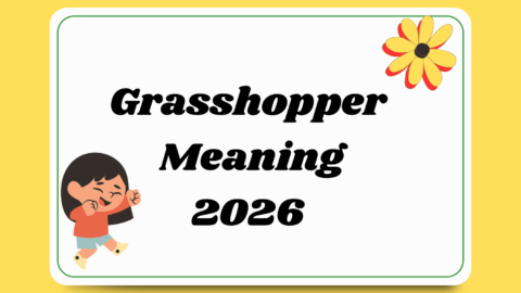 Grasshopper Meaning
