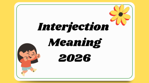 Interjection Meaning