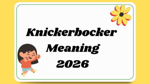 Knickerbocker Meaning