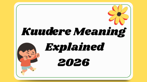 Kuudere Meaning Explained
