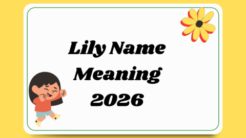 Lily Name Meaning