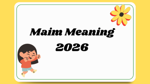 Maim Meaning
