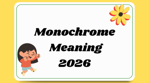 monochrome-meaning
