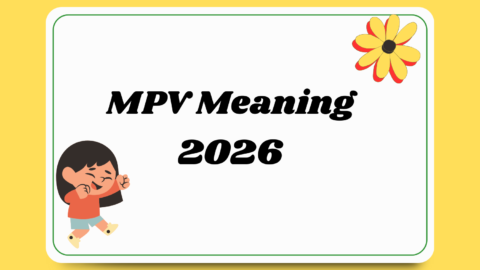 MPV Meaning