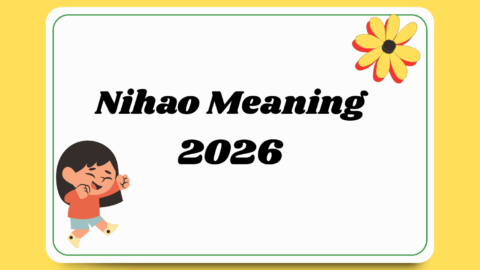 Nihao Meaning