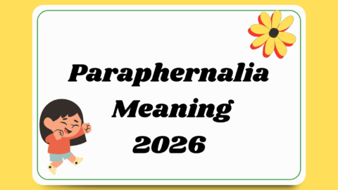 Paraphernalia Meaning