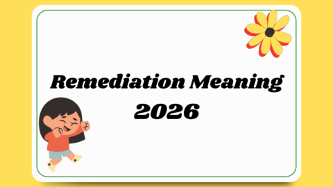 Remediation Meaning