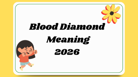Blood Diamond Meaning