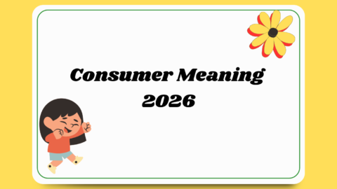 Consumer Meaning