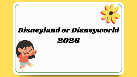 Disneyland or Disneyworld