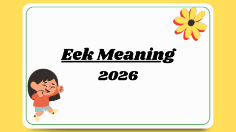 Eek Meaning