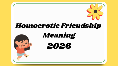 Homoerotic Friendship Meaning