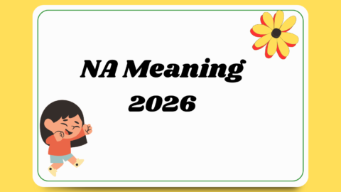 NA Meaning