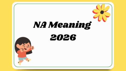 NA Meaning