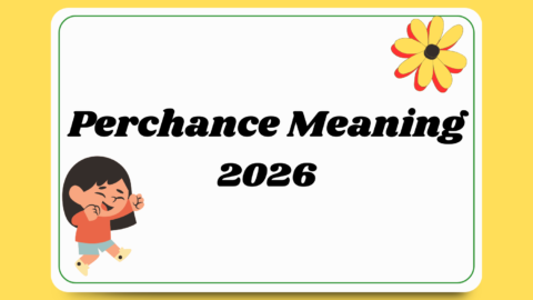 Perchance Meaning