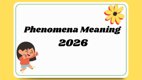 Phenomena Meaning