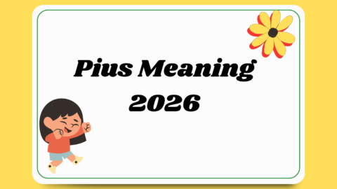 Pius Meaning