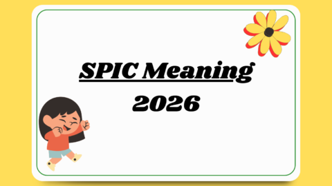 SPIC Meaning