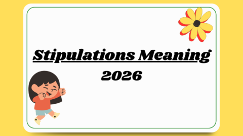 Stipulations Meaning