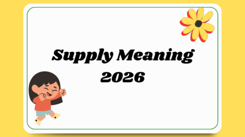 Supply Meaning