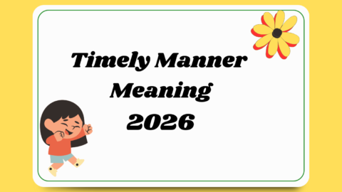 Timely Manner Meaning