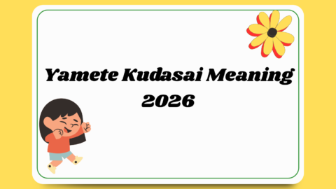 Yamete Kudasai Meaning