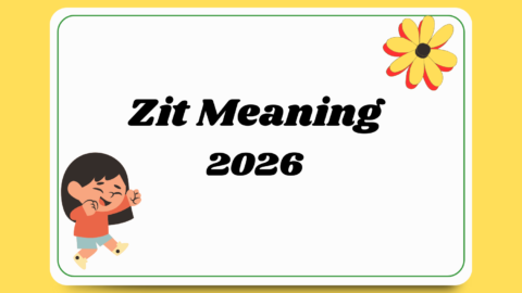 Zit Meaning