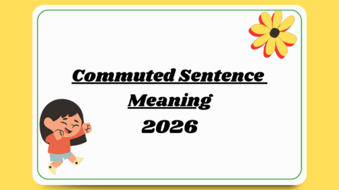 Commuted Sentence Meaning