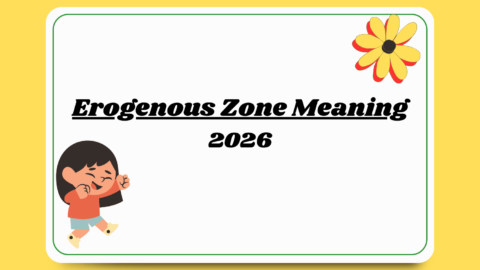 Erogenous Zone Meaning