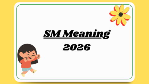 SM Meaning