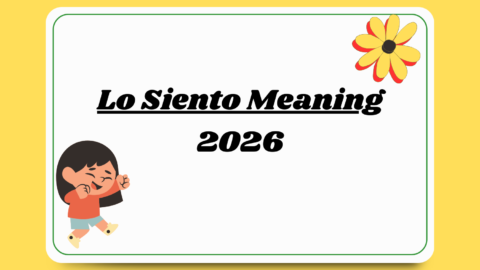 Lo Siento Meaning