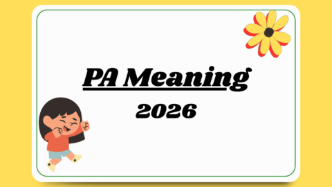 PA Meaning