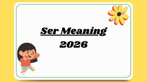 Ser Meaning