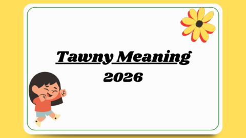 tawny meaning