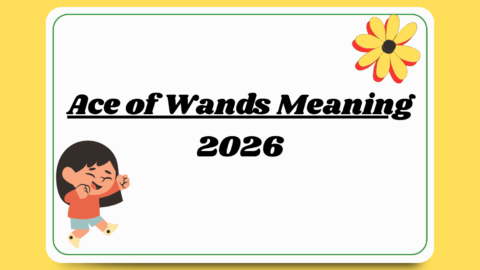 Ace of Wands Meaning