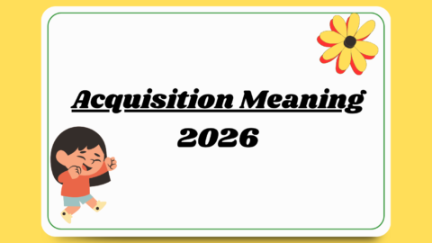 Acquisition Meaning