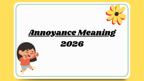 annoyance meaning