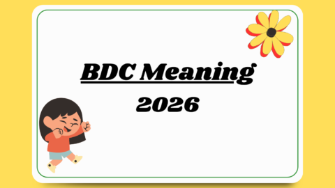 BDC Meaning