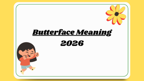 butterface meaning