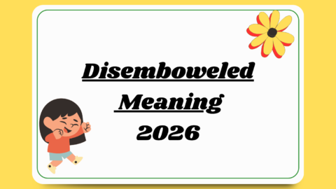 Disemboweled Meaning